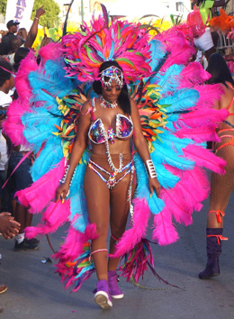 BVI Festival