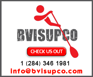 BVI SUPCO